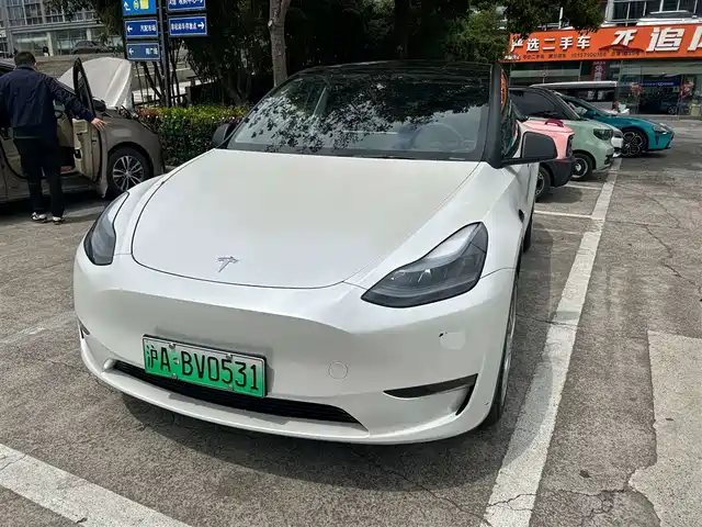 Tesla Model Y Model Y 2023 Long-Range All-Wheel Drive Version — фото