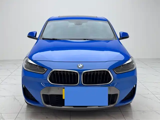 Bmw Bmw X2 Bmw X2 2020 Sdrive25i Leading M Off-Road Package