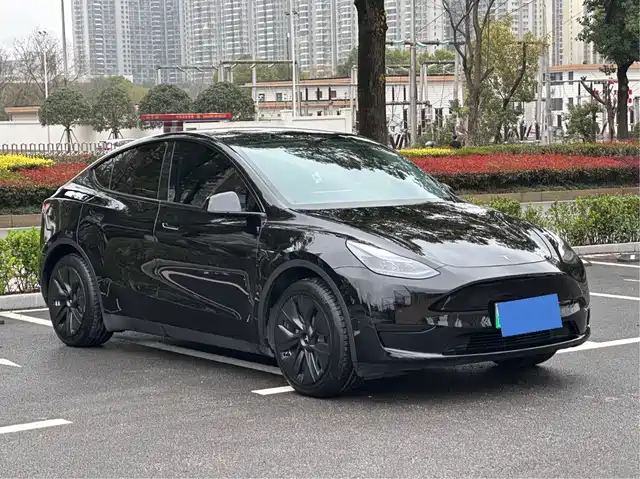 Tesla Model Y Model Y 2022 Facelift Rear-Wheel Drive Version