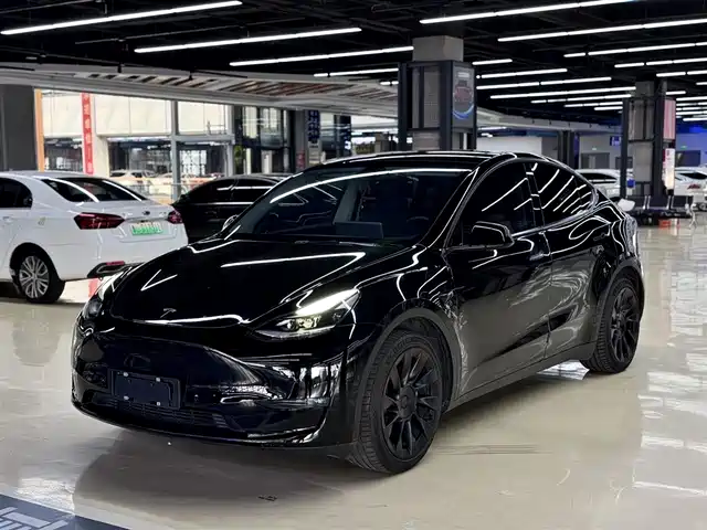 Tesla Model Y Model Y 2021 Long-Range All-Wheel Drive Version