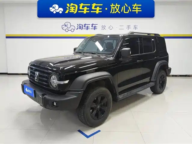 Tank Tank 300 Tank 300 2024 2.0t Conqueror