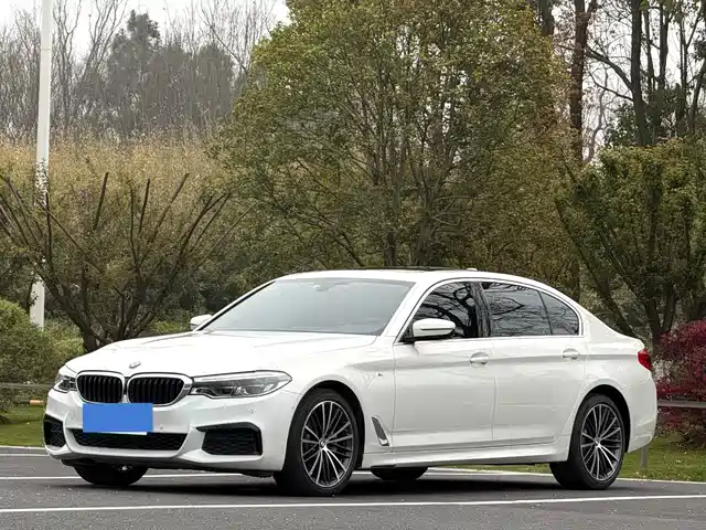 Bmw Bmw 5 Series Bmw 5 Series 2020 530li Xdrive M Sports Package — фото