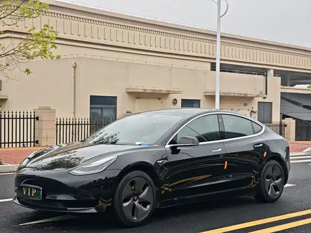 Tesla Model 3 Model 3 2020 Standard Range Rear Drive Upgraded Version — фото