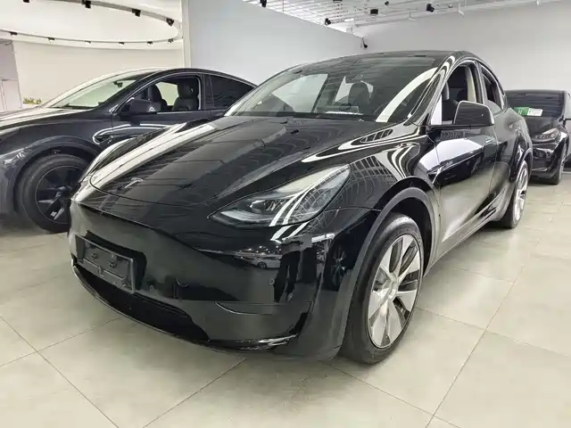 Tesla Model Y Model Y 2023 Rear-Wheel Drive Version — фото