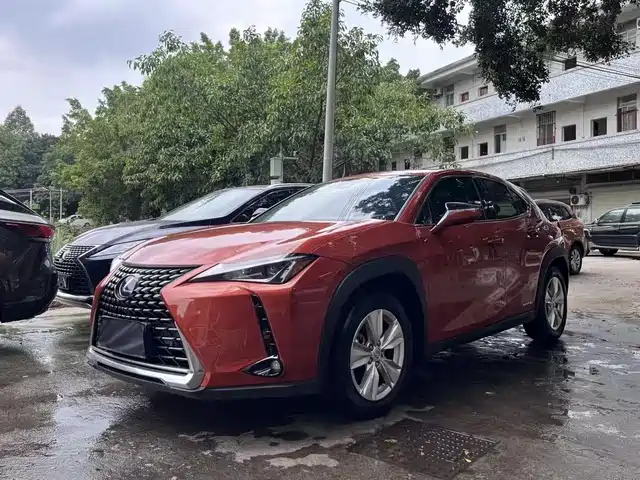 Lexus Lexus Ux Lexus Ux 2020 260h Discovery Edition — фото