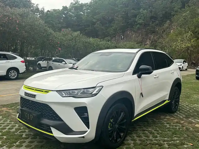 Harvard Haval H6s Haval H6s 2022 2.0t Two-Wheel Drive Yuepao Version