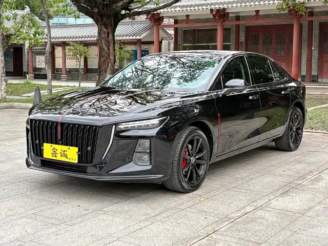 Red Flag Hongqi H5 Hongqi H5 2025 2.0t Automatic Xuanying 2 Million Units Commemorative Edition — фото