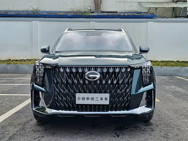 Gac Trumpchi Trumpchi Gs8 Trumpchi Gs8 2022 Dual Engine Series 2.0tm Two-Wheel Drive Premium Edition (Six Seats) — фото