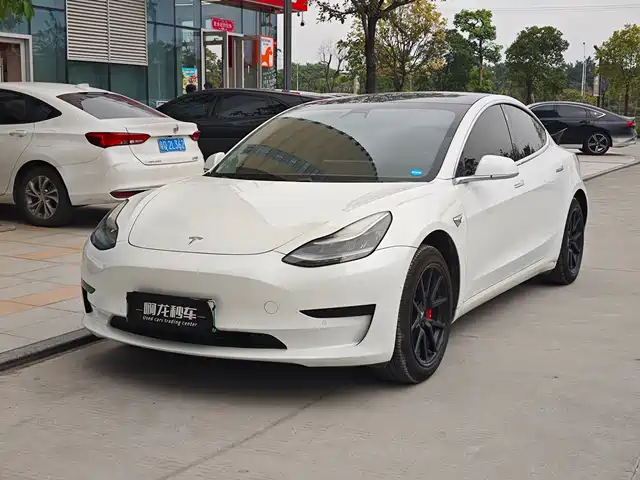 Tesla Model 3 Model 3 2019 Standard Range Rear Drive Upgraded Version — фото