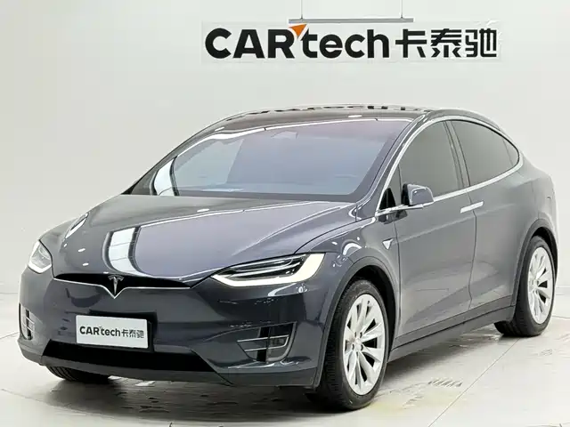 Tesla Model X Model X 2020 Long Battery Life Upgraded Version — фото