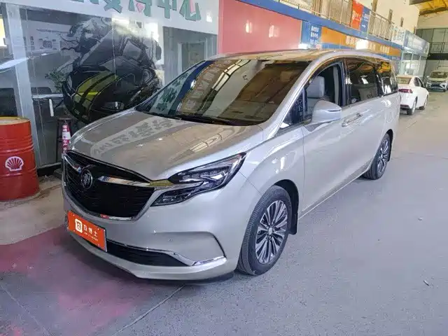 Buick Buick Gl8 Buick Gl8 2021 Es Lu Zun 653t Flagship Model — фото