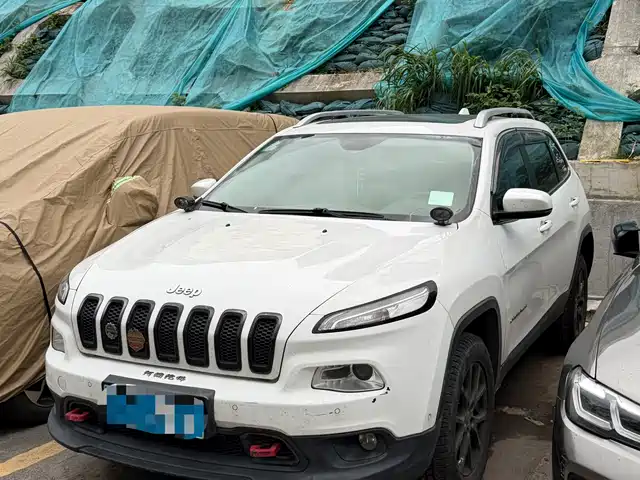 Jeep Free Light Liberty Light 2016 2.4l Leading Edition — фото