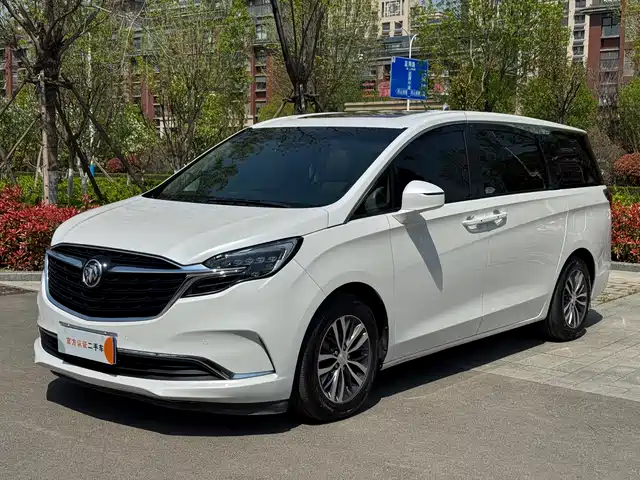 Buick Buick Gl8 Buick Gl8 2021 Es Lu Zun 653t Exclusive Model