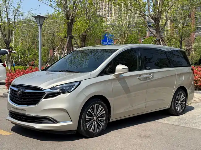 Buick Buick Gl8 Buick Gl8 2021 Es Lu Zun 653t Luxury Model — фото