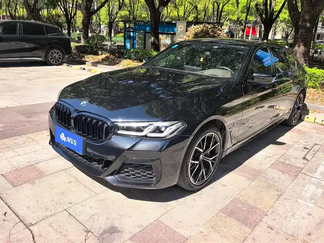 Bmw Bmw 5 Series Bmw 5 Series 2021 530li Exclusive M Sports Package — фото