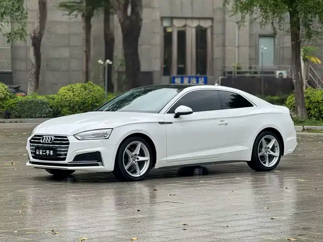 Audi Audi A5 (Imported) Audi A5 (Imported) 2017 Coupe 40 Tfsi Fashion Model — фото