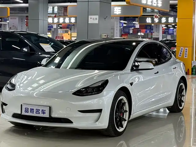 Tesla Model 3 Model 3 2022 Rear-Wheel Drive Version