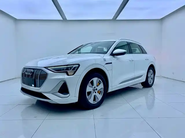Audi Audi E-Tron Audi E-Tron 2021 50 Quattro Luxury Model