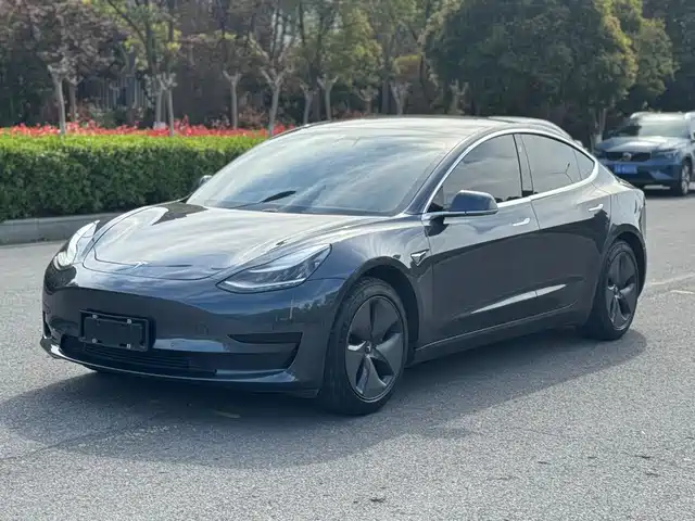 Tesla Model 3 (imported) Model 3 Imported 2019 Standard Range Rear Drive Upgraded Version — фото