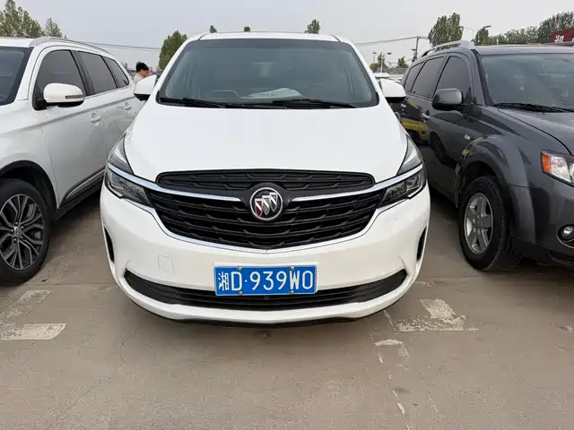 Buick Buick Gl8 Buick Gl8 2020 Es Lu Zun 653t Luxury Model — фото