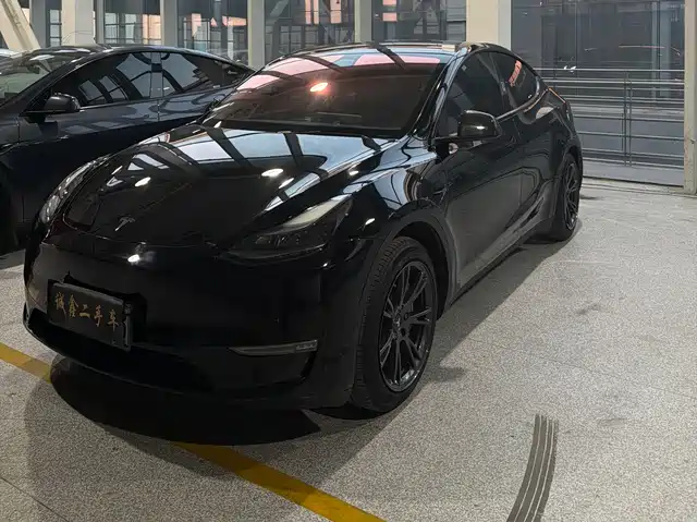 Tesla Model Y Model Y 2023 Rear-Wheel Drive Version — фото