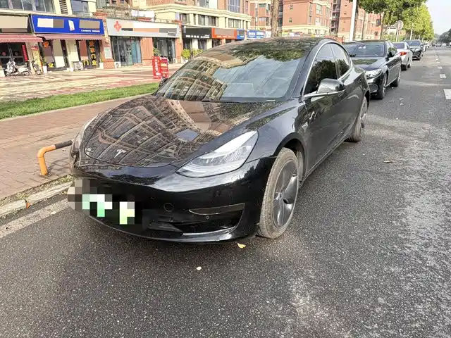 Tesla Model 3 Model 3 2020 Standard Range Rear Drive Upgraded Version — фото