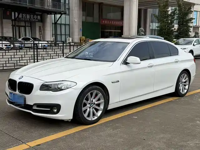 Bmw Bmw 5 Series Bmw 5 Series 2013 535li Leading Model — фото