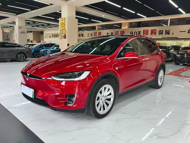 Tesla Model X Model X 2017 Model X 100d Long Range Edition — фото