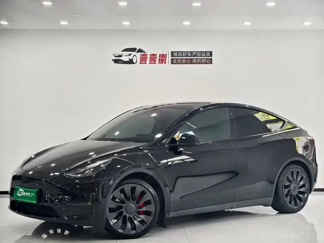 Tesla Model Y Model Y 2022 Performance High-Performance All-Wheel Drive Version — фото