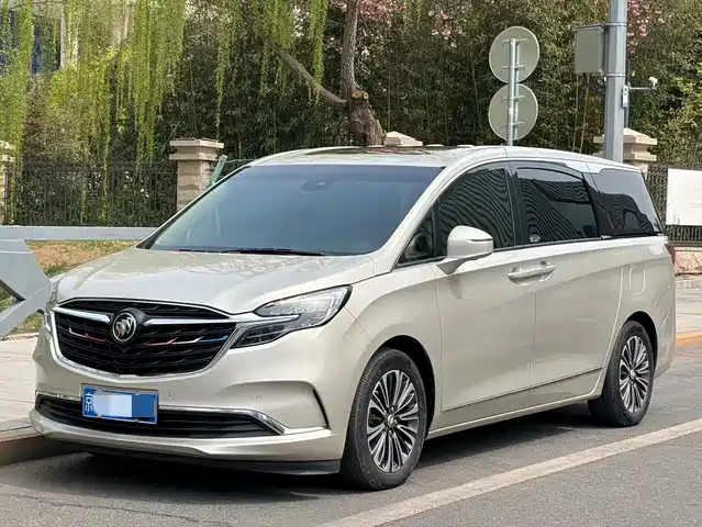 Buick Buick Gl8 Buick Gl8 2020 Es Lu Zun 653t Flagship Model — фото