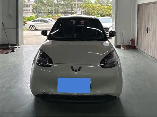 Wuling Motors Wuling Bingo Wuling Bingo 2023 Model 333km Lingxi Internet Model