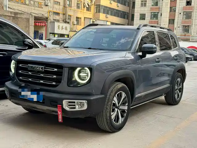 Harvard Harvard Dog Haval Big Dog 2022 1.5t Dct Two-Wheel Drive Border Collie Version