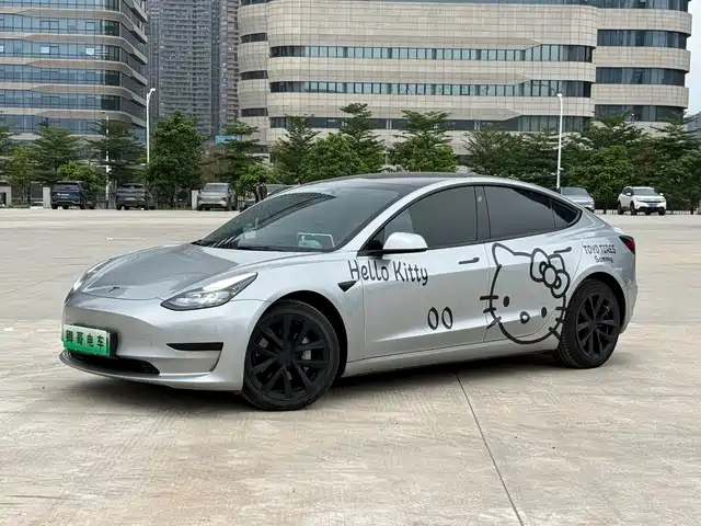 Tesla Model 3 Model 3 2022 Rear-Wheel Drive Version