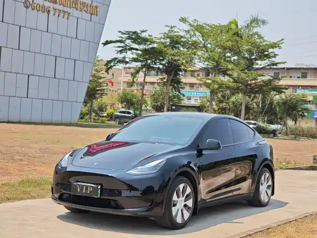Tesla Model Y Model Y 2022 Facelift Rear-Wheel Drive Version — фото