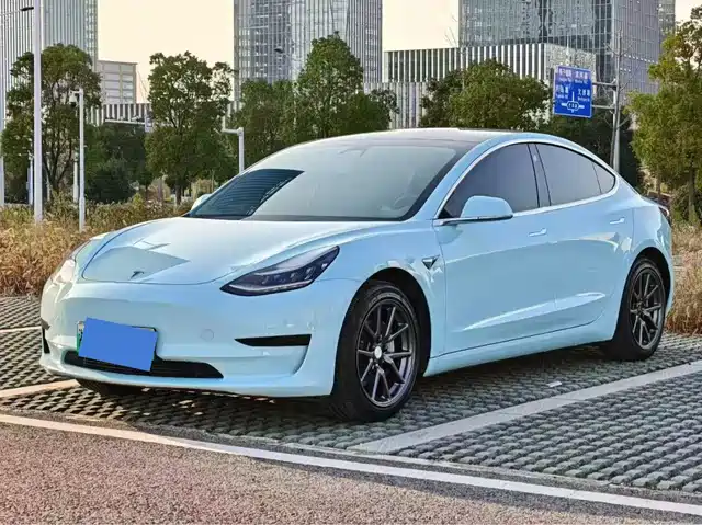 Tesla Model 3 Model 3 2020 Facelift Standard Range Rear-Wheel Drive Upgraded Version — фото