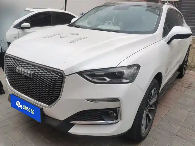 Harvard Haval F5 Haval F5 2019 National Chao Edition 1.5t Ichao National Vi — фото