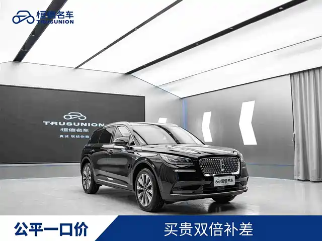 Lincoln Adventurer Adventurer 2022 2.0t Two-Wheel Drive Premium Edition — фото