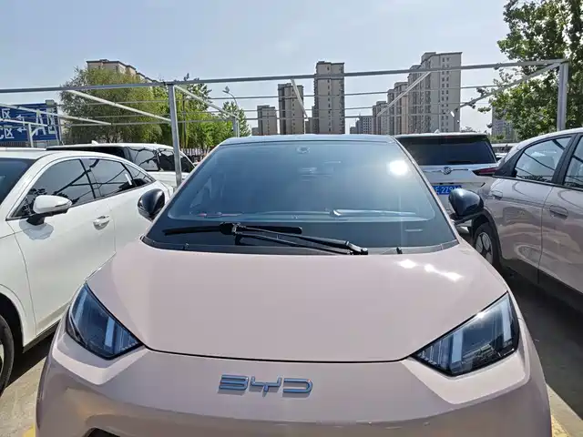 Byd Seagull Seagull 2023 Flying Edition