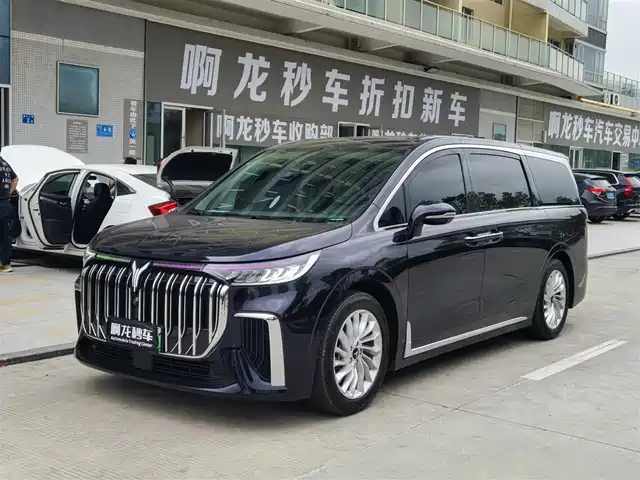 Lantu Automobile Lantu Dreamer Lantu Dreamer 2024 Phev Extra Long Range Premium Edition