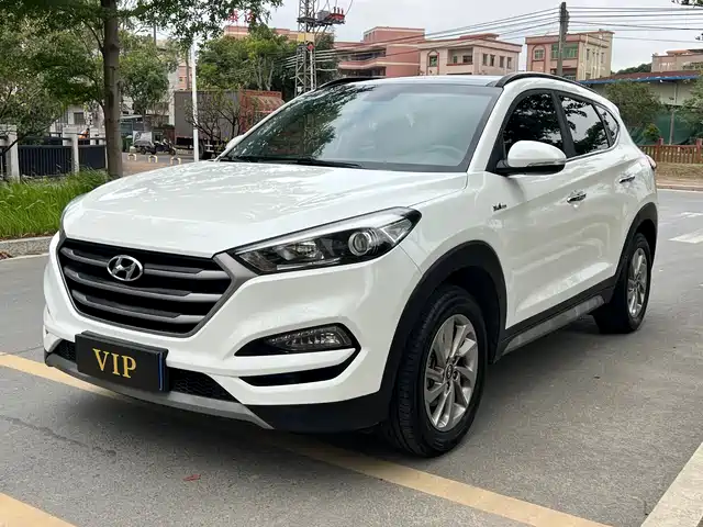 Hyundai Tucson Tucson 2018 1.6t Dual-Clutch Two-Wheel Drive 15th Anniversary Special Edition — фото