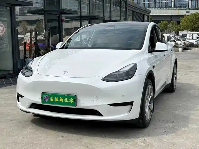 Tesla Model Y Model Y 2023 Rear-Wheel Drive Version — фото