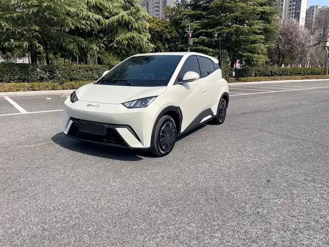 Byd Seagull Seagull 2024 Honor Edition 305km Vitality Edition