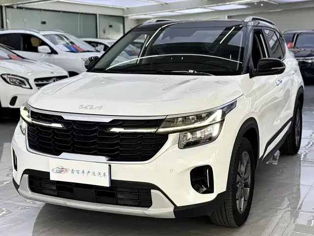 Kia Sethus Sethus 2023 1.5l Cvt Deluxe Edition — фото