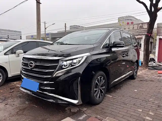 Gac Trumpchi Trumpchi M8 Trumpchi M8 2023 Lead Show Series 390t Exclusive Edition