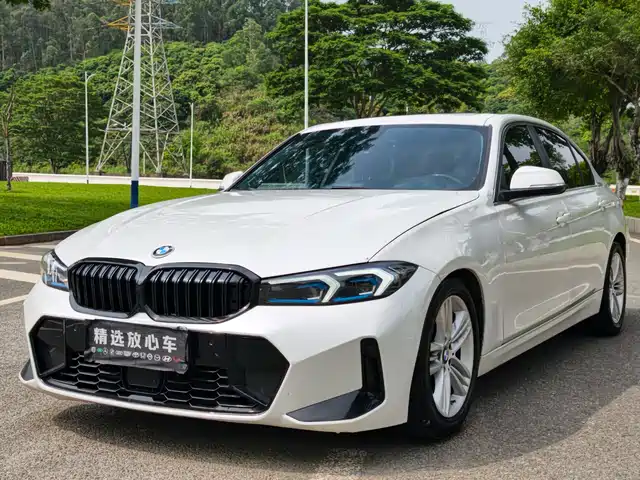 Bmw Bmw 3 Series Bmw 3 Series 2017 320li Fashion Model — фото