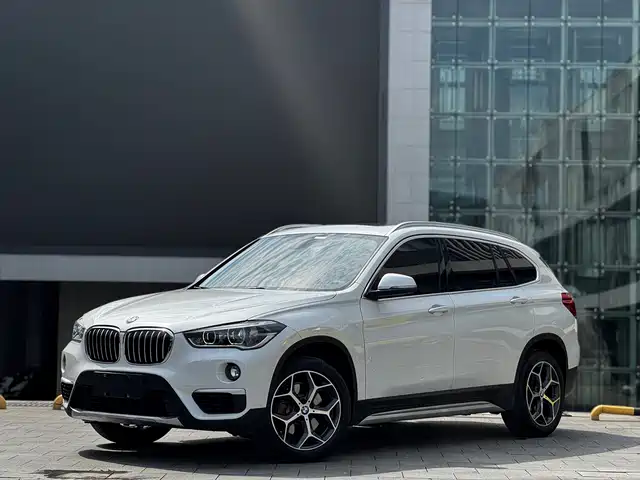 Bmw Bmw X1 Bmw X1 2019 Xdrive20li Exclusive Model — фото