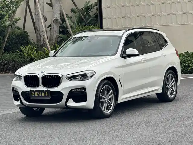 Bmw Bmw X3 Bmw X3 2018 Xdrive25i M Sports Package National Vi — фото