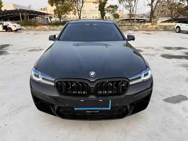 Bmw Bmw 5 Series Bmw 5 Series 2012 530li Leading Model — фото