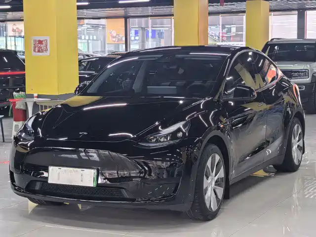 Tesla Model Y Model Y 2022 Rear-Wheel Drive Version — фото