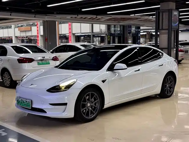 Tesla Model 3 Model 3 2021 Standard Range Rear Drive Upgraded Version — фото